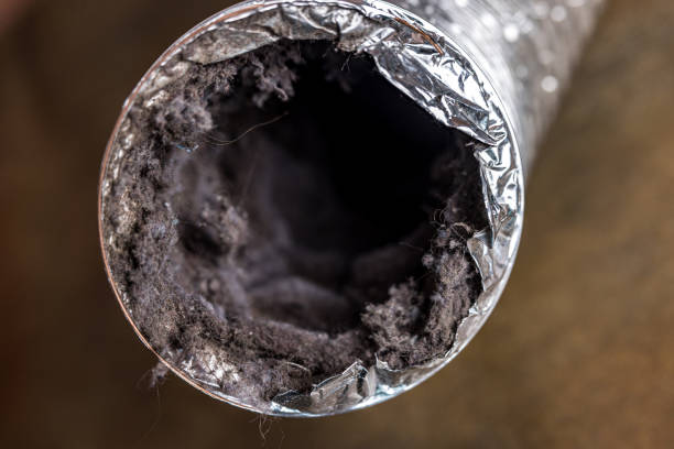 Best Ductwork Cleaning Services  in Pleasant Valley, WV
